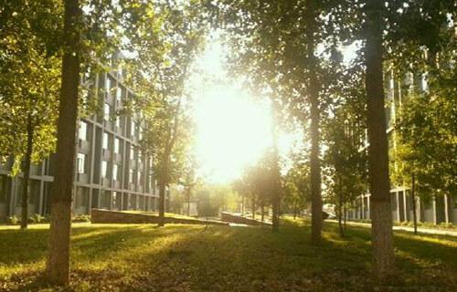 成都哪些航空学校好,成都哪所航空学校好一些呢