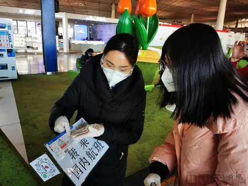 大连航空安检学校,大连航空服务专修学院安置好吗？