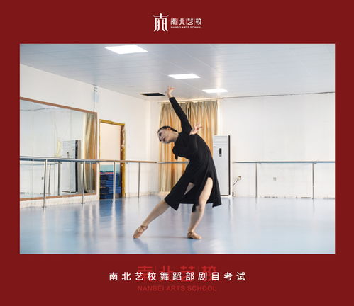 德国舞蹈学校排名