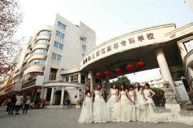 湖南学幼师,专业设置