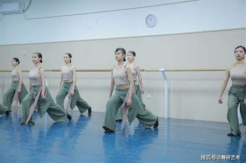 哪个学校舞蹈艺考培训,舞蹈艺考培训学校哪家好
