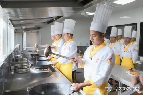 厨师要学多久才能学好,学厨师一般要学习多长时间