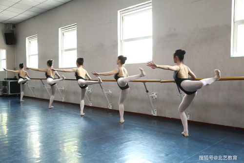 舞蹈艺考的花费,舞蹈艺考花费大吗