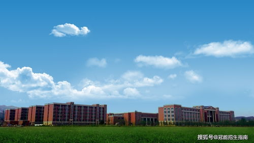 幼师去哪个学校比较好,幼师读什么学校