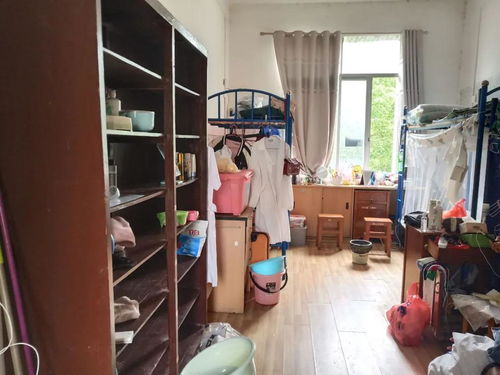 绵阳卫校宿舍,绵阳卫校宿舍介绍