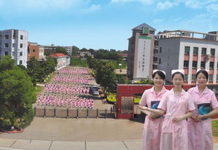 湖南护理专业大专学校,湖南护理专业的专科学校