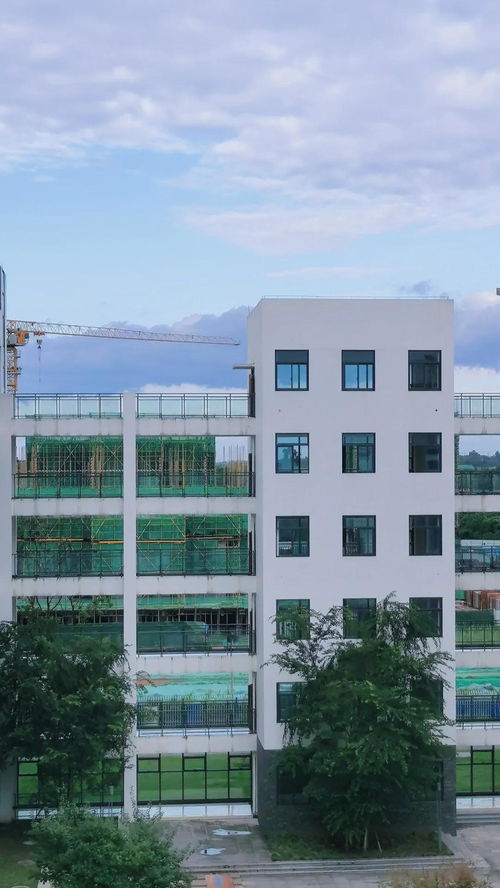 内江护理职业学校,内江卫生与健康职业学院教务处电话是多少