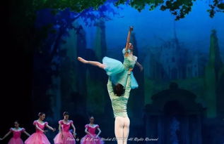 艺考舞蹈要学什么,请问高考时的艺术类舞蹈考试都考些什么？？