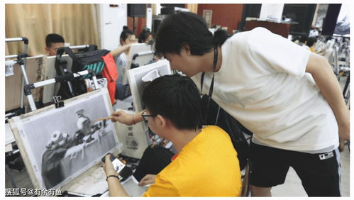 山东省美术生高考,2020山东美术考生综合分567.45位次排名3894能报考什么大学？