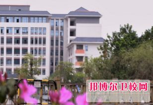 广州卫校职业学院,大学概况