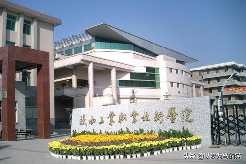 专科 电脑学校,专科电脑学校