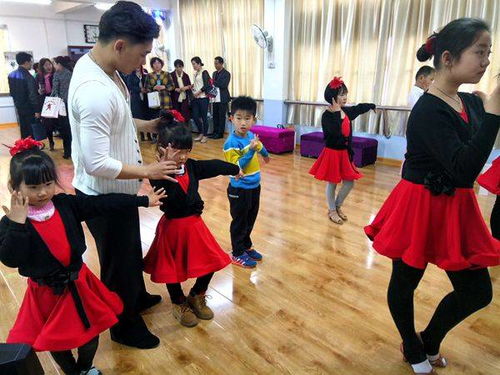 大连舞蹈学校地址,大连哪里能学舞蹈？价钱，地点、、