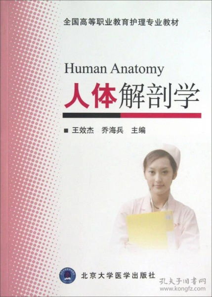 护理人体解剖学,人体解剖学护理是什么?