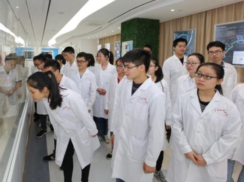 二本舞蹈专业大学排名,二本院校舞蹈专业排名