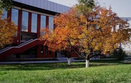 所有的卫校,初中毕业读什么所卫校