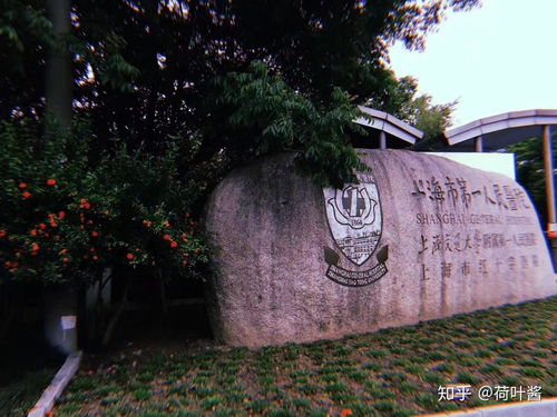 怎么学护理学,怎么样学护理