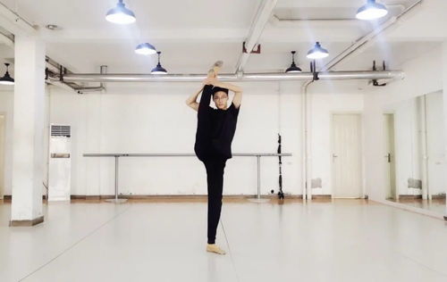 舞蹈艺考专业,舞蹈艺考专业培养目标