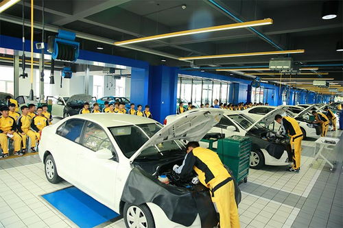 汽修专业学什么最快,从零开始学汽车维修，先学什么比较快上手？