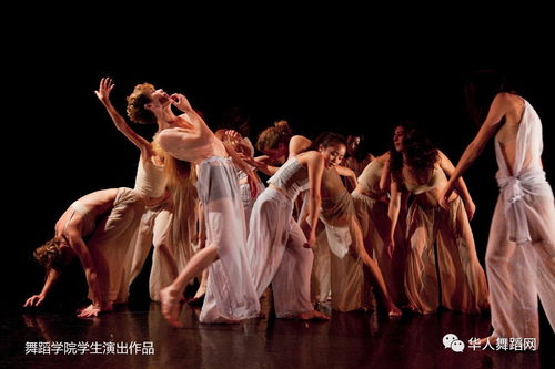 法国舞蹈学校,法国舞蹈学院