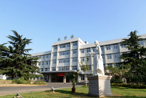 山东省卫校有哪些学校,山东公立卫校哪里好