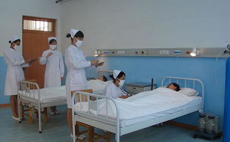 石家庄护理学校排名,石家庄最好的卫校排名