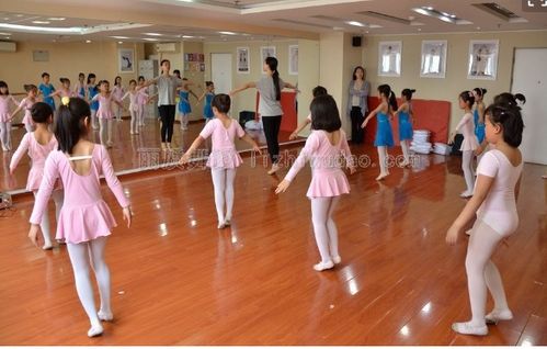 高考舞蹈特长生都考试内容,高考舞蹈特长生全部考试内容