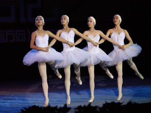 舞蹈编导专业是什么,编导专业究竟是怎样一个范畴？