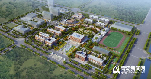 青岛幼师学校专科学校,大专学幼师山东公办学校