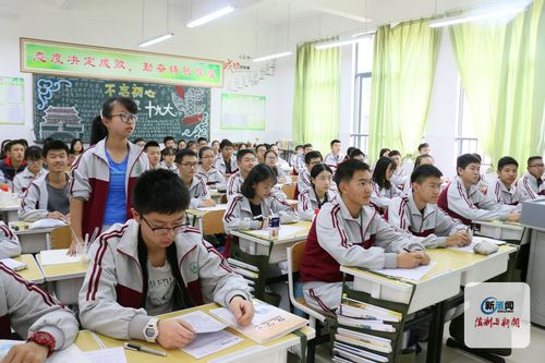 幼师专业技能特长,幼师职业技能特长怎么写