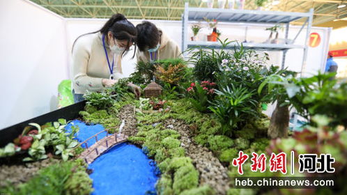 园林设计主要是学什么,园林专业的专业的介绍（学什么 ？干什么？）