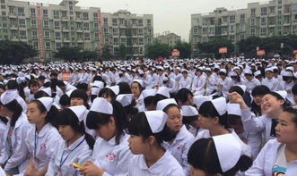 卫校有多少个专业,卫校里一般来说有多少个专业？