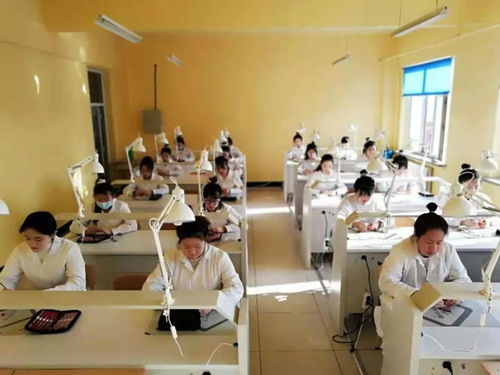 哈尔滨护理专业学校,哈尔滨最好的卫校是哪一所