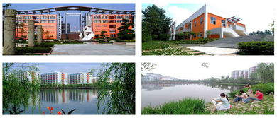 成都幼师学校名称,成都有哪些幼师学校