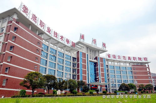 娄底的卫校招生,娄底卫校招生类情况