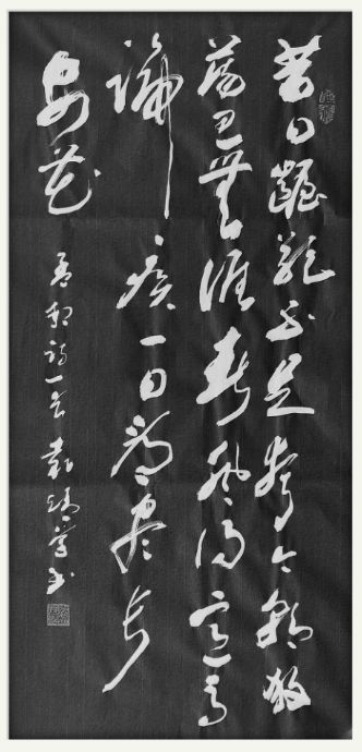 公主岭卫校招生简章,招生对象。