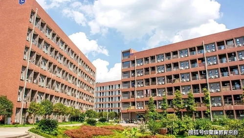 成都幼师学校五年大专需要考吗,就读五年一贯制大专需要参加考试吗？