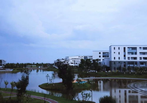 四川省绵阳卫校,绵阳卫校在哪个位置