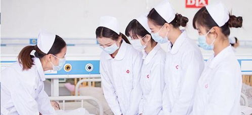 学护理专业学,护理专业主要学什么？内容有哪些？