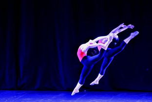 舞蹈专业的学校有哪些,有舞蹈专业的大学有哪些学校