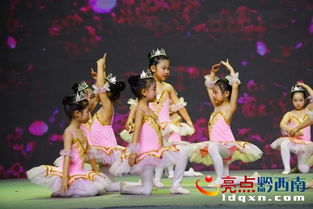 兴义舞蹈艺考培训学校,课程设置