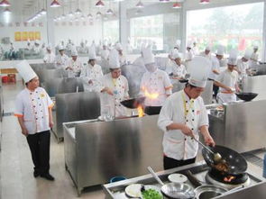 保定市厨师学校,保定虎振学校和玉兰香是一所学校吗