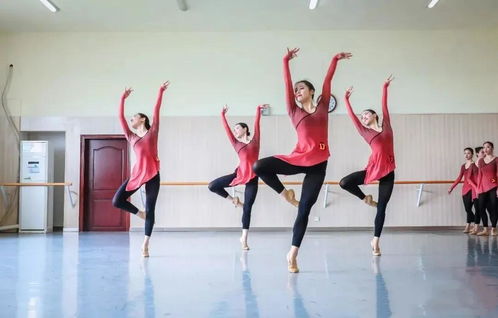 练习舞蹈艺考,舞蹈艺考要求有哪些 参加舞蹈艺考有哪些注意事项