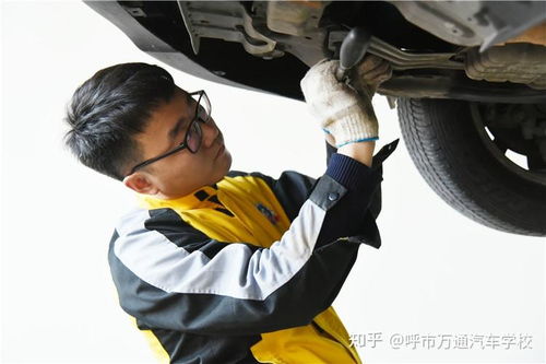 学汽修要学会什么,汽修都学些什么东西？