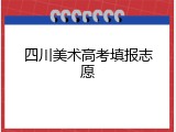 四川美术高考填报志愿