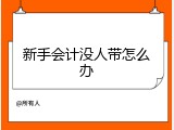 新手会计没人带怎么办