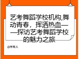 艺考舞蹈学校机构,舞动青春，挥洒热血&mdash;&mdash;探访艺考舞蹈学校的魅力之旅