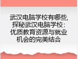 武汉电脑学校有哪些,探秘武汉电脑学校：优质教育资源与就业机会的完美结合
