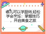 哪儿可以学厨师,轻松学会烹饪：掌握技巧，开启美食之旅