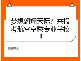 梦想翱翔天际？来报考航空空乘专业学校！