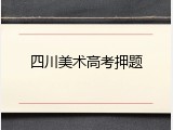 四川美术高考押题
